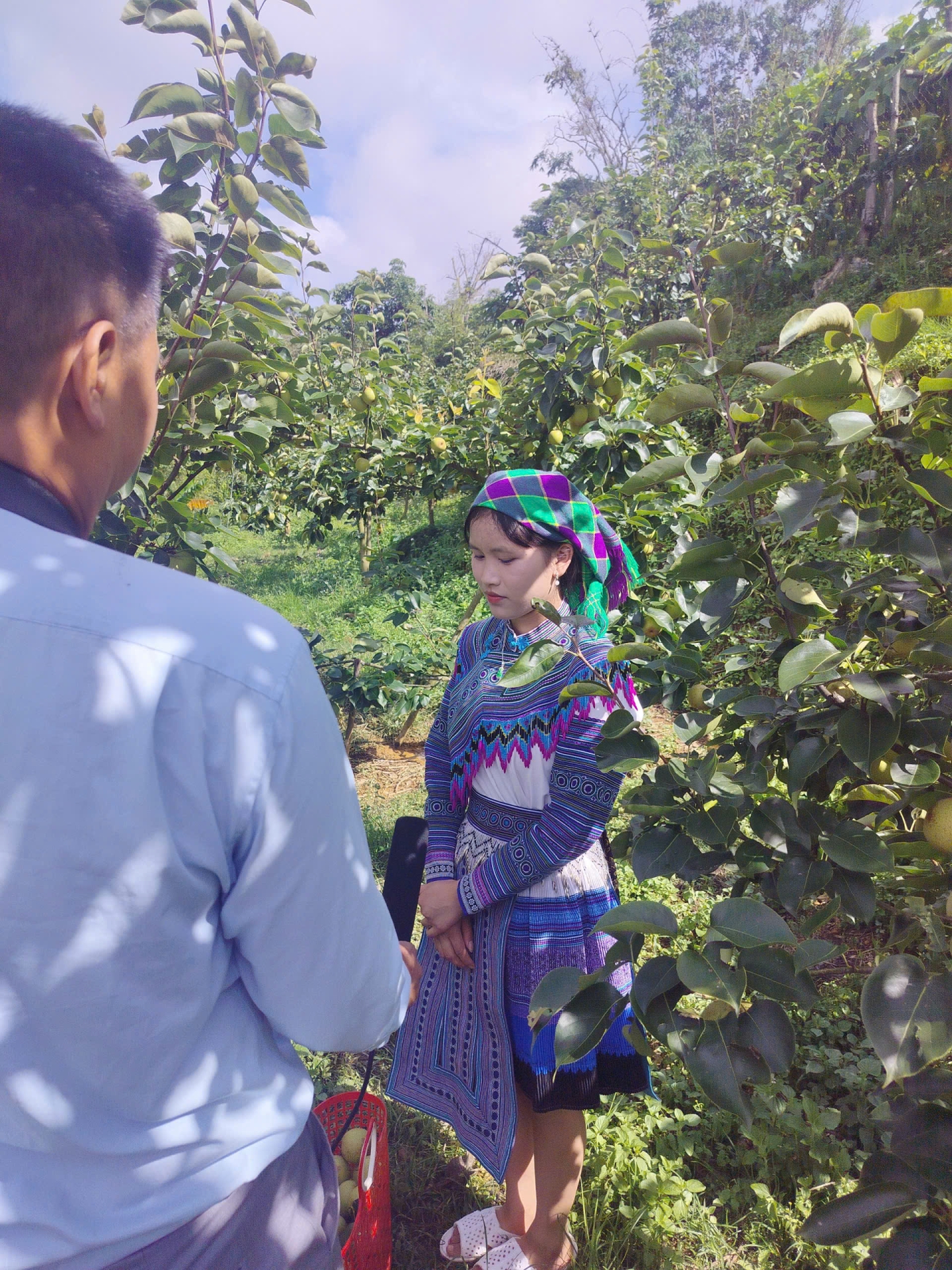 hương sắc vùng cao
