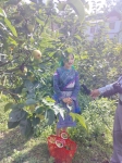 hương sắc vùng cao